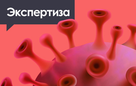 О проведении профилактических прививок